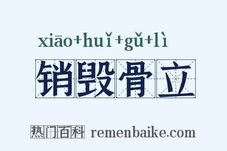 销毁骨立是什么意思的图片